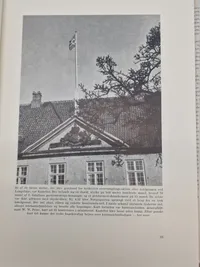 Årets største begivenheder i billeder - det bedste fra den danske kamp