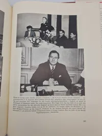 Årets største begivenheder i billeder - det bedste fra den danske kamp