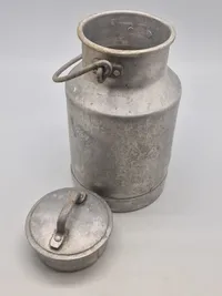 3 litters mælke spand