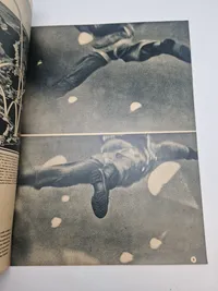 Originalt eks. af Signal - ww2