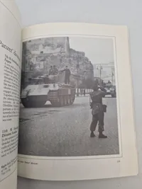 SS Panzers in action