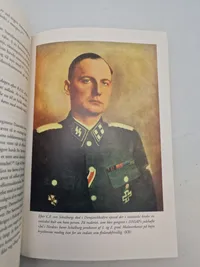 Under hagekors og dannebrog