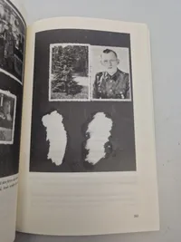 Under hagekors og dannebrog