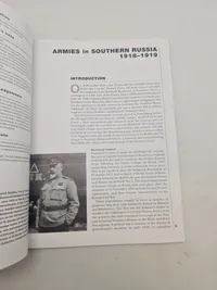 Armies in southern russia  1918-19