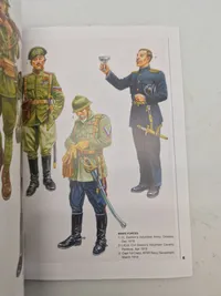 Armies in southern russia  1918-19