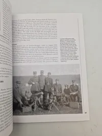 Armies in southern russia  1918-19