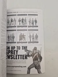Armies in southern russia  1918-19