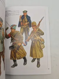 Armies in southern russia  1918-19