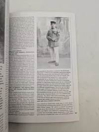 Armies in southern russia  1918-19