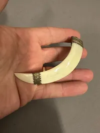 Original Sølvmonteret vildsvinetand broche