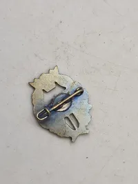 Lot svenske nåle og pins