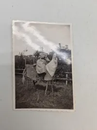 Lot originale danske M/23  fjolle fotos