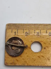 Original Dansk DNSAP Partimærke