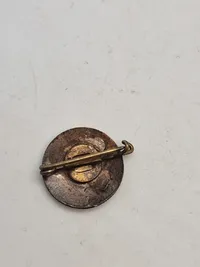 Original Dansk DNSAP Partimærke