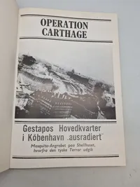 Operation Carthage Schelhuset