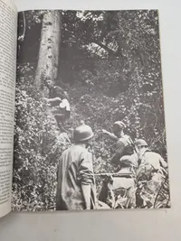 Der Zweite Weltkrieg