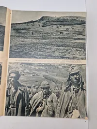 Originalt tysk Signal på dansk