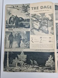 Originalt tysk Signal på dansk