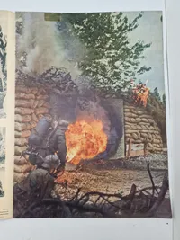Originalt tysk Signal på dansk