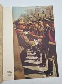 Originalt tysk Signal på dansk