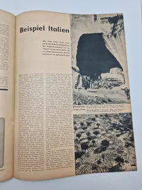 Originalt tysk Signal på dansk