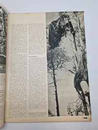 Originalt tysk Signal på dansk