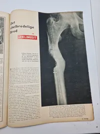 Originalt tysk Signal på dansk