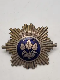 Samling franske badges mm.