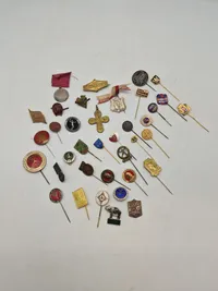 Lot diverse pins mm