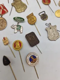 Lot diverse pins mm