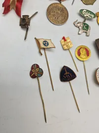 Lot diverse pins mm
