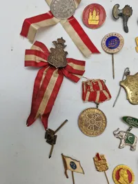Lot diverse pins mm