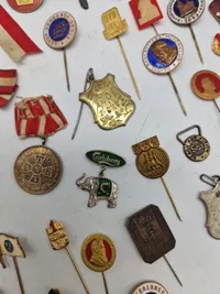 Lot diverse pins mm