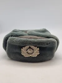 Original DDR officers pelshue