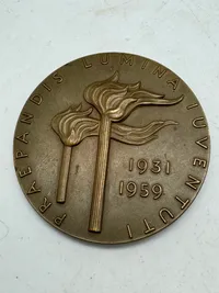 Store bronce medaljer