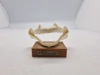 Kæbe fra fisk