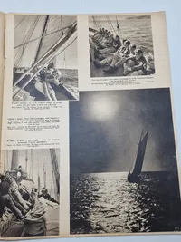 Originalt eks. af Der Adler - ww2
