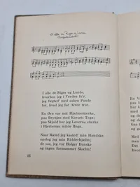 Original dansk soldater bog