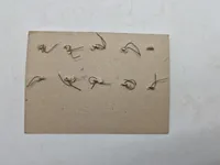 Samling originale Kriegsmarine knapper