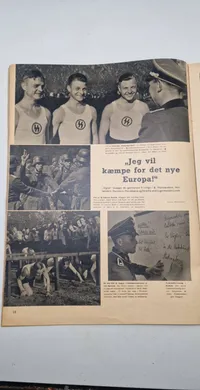 Originalt eks. af signal - ww2 bla. med Danske SS frivilige