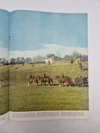 Originalt eks. af signal - ww2 bla. med Danske SS frivilige