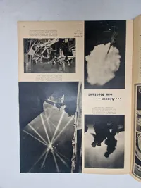 Originalt eks. af signal - ww2 bla. med Danske SS frivilige
