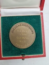 Original HJV skyde mønt