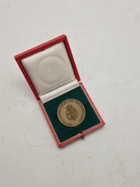 Original HJV skyde mønt