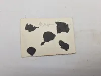 Originalt ww1 lot mm.