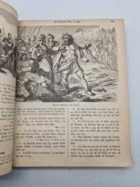 Ældre dansk bibel