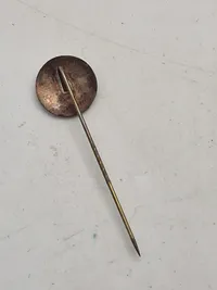 Original Dansk WW2  DNSAP pin
