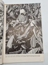 Originalt hæfte Tysk WW2 - Westmark