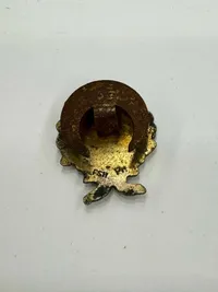 Originalt Dansk  D.N.S.A.P. æresemblem i guld WW2, ekstremt sjældent
