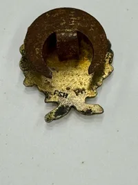 Originalt Dansk  D.N.S.A.P. æresemblem i guld WW2, ekstremt sjældent